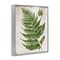 Stupell Industries Distressed Fern Leaf Framed Giclee Wall Art Design by Susan Arnot